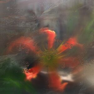 Upsammy - Germ in a Population of Buildings  LP LP